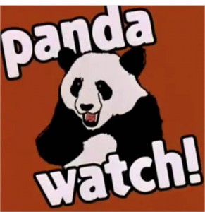 Panda-Watch-291x300.jpg